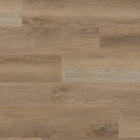 CARTWHEEL OAK