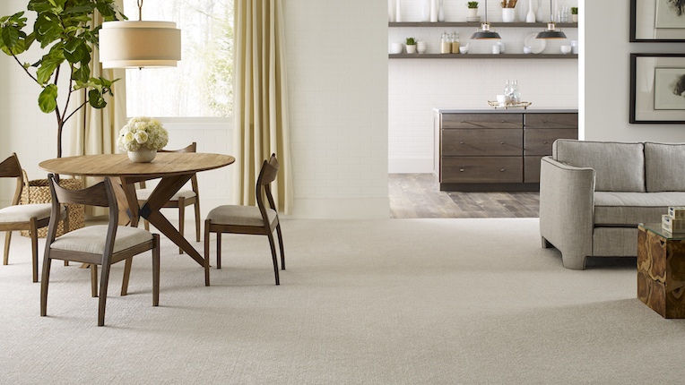 carpet in a living and dining room area