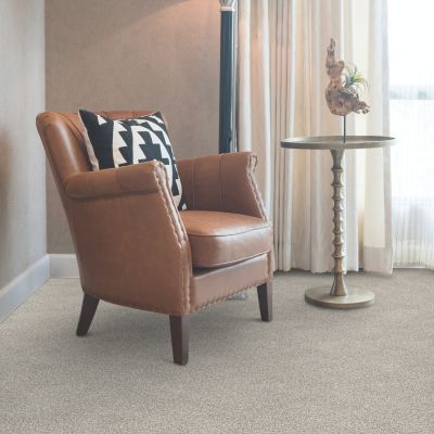beige carpets in a Modesto living room